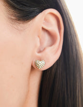 Load image into Gallery viewer, Spartina Earrings