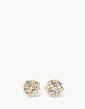 Load image into Gallery viewer, Spartina Earrings