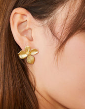 Load image into Gallery viewer, Spartina Earrings