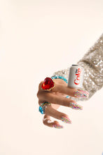 Load image into Gallery viewer, Nora Fleming Minis