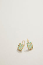 Load image into Gallery viewer, Spartina Earrings
