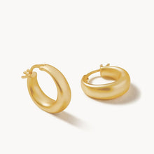 Load image into Gallery viewer, Spartina Earrings