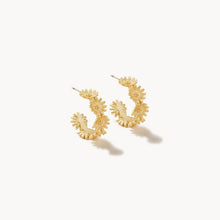 Load image into Gallery viewer, Spartina Earrings