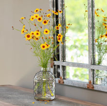 Load image into Gallery viewer, Water Bottle With Poultry Wire