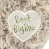 Load image into Gallery viewer, Big Brother/Big Sister Bear