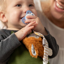 Load image into Gallery viewer, Paci Pocket Pals