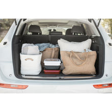 Load image into Gallery viewer, Fancy Panz