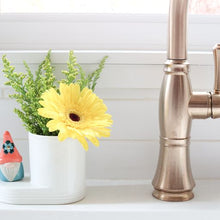 Load image into Gallery viewer, Nora Fleming Minis