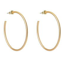 Load image into Gallery viewer, Spartina Earrings