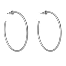 Load image into Gallery viewer, Spartina Earrings