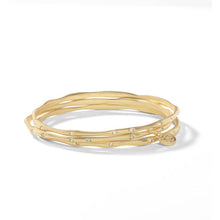 Load image into Gallery viewer, Spartina Bracelets