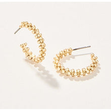 Load image into Gallery viewer, Spartina Earrings