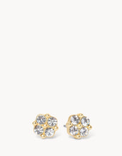 Load image into Gallery viewer, Spartina Earrings
