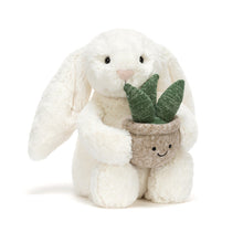 Load image into Gallery viewer, Jellycat
